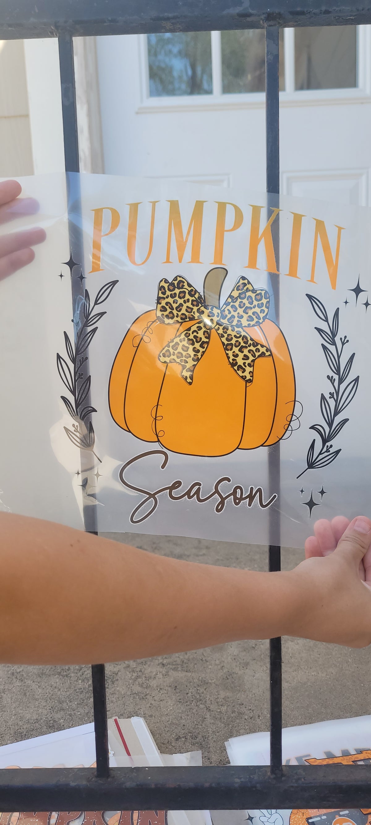 Pumpkin Season