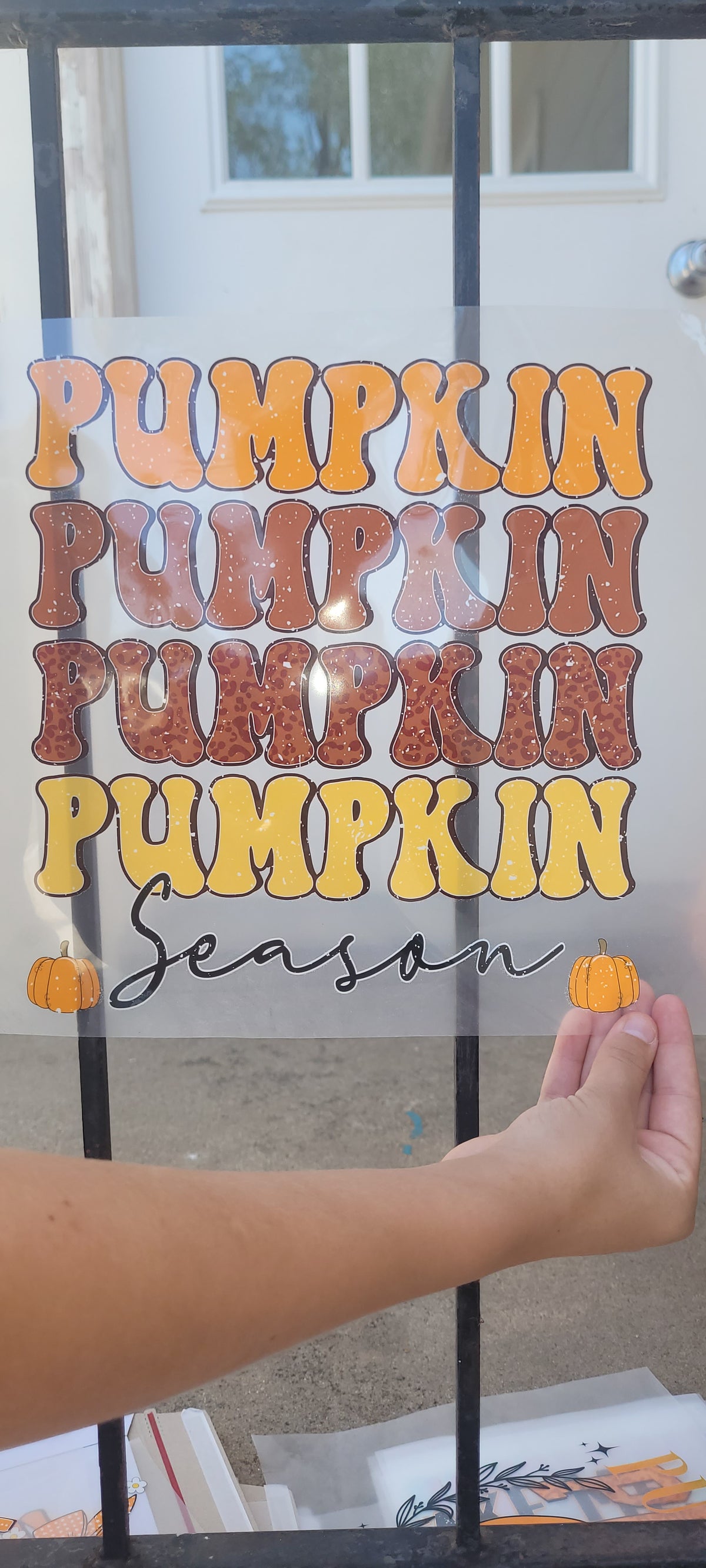 Pumpkin Season