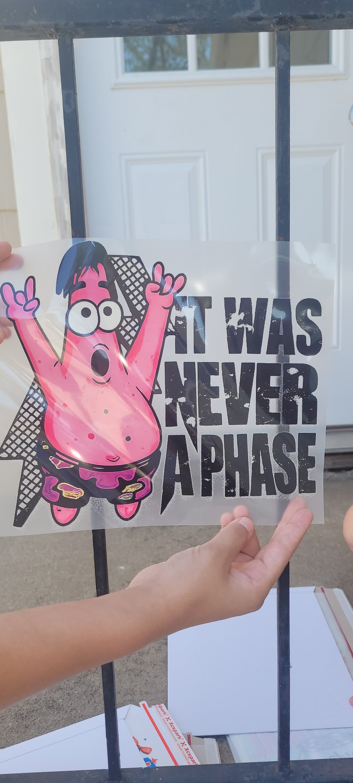It was never a phase (youth)