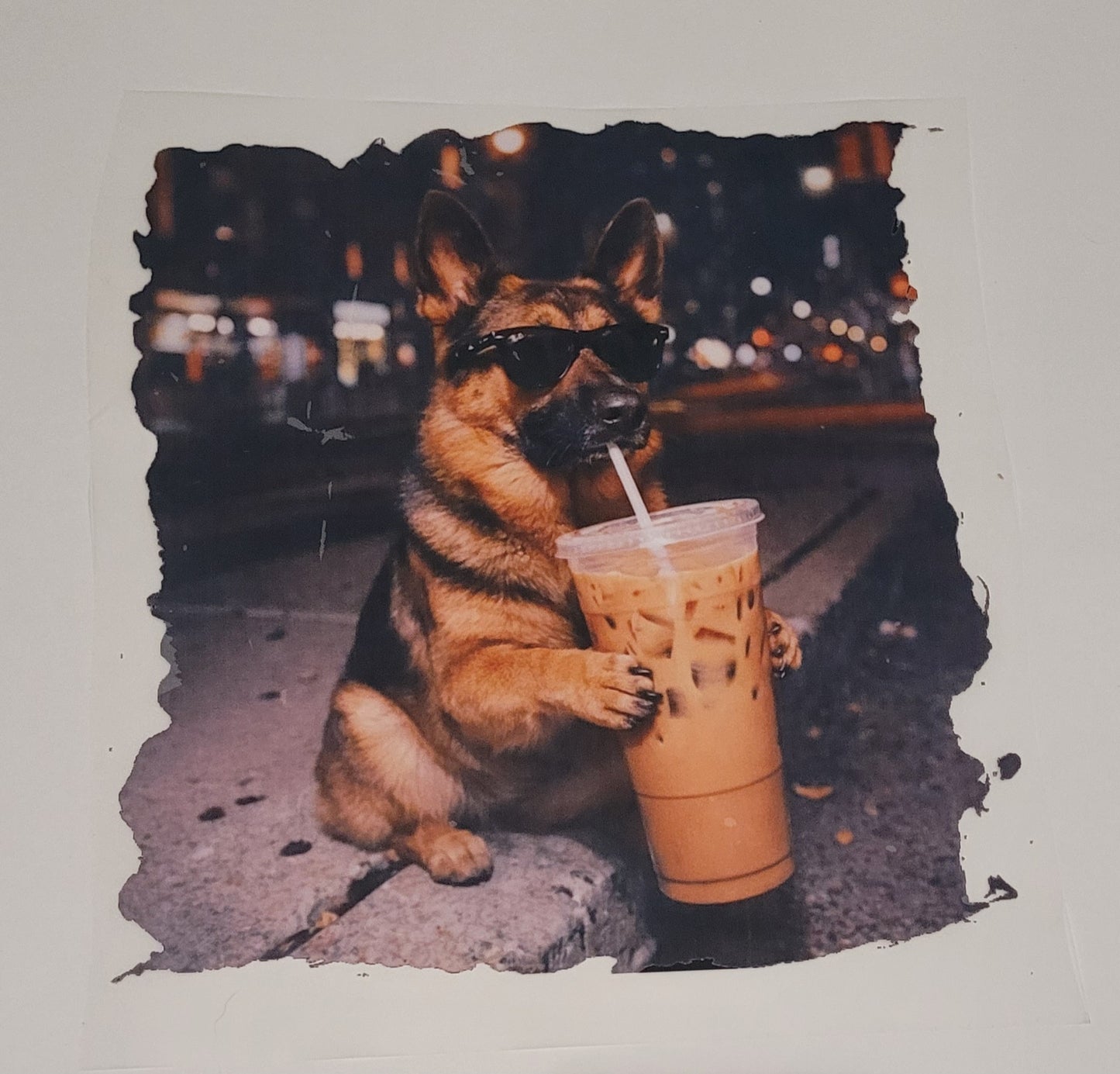 Iced coffee German Shephard