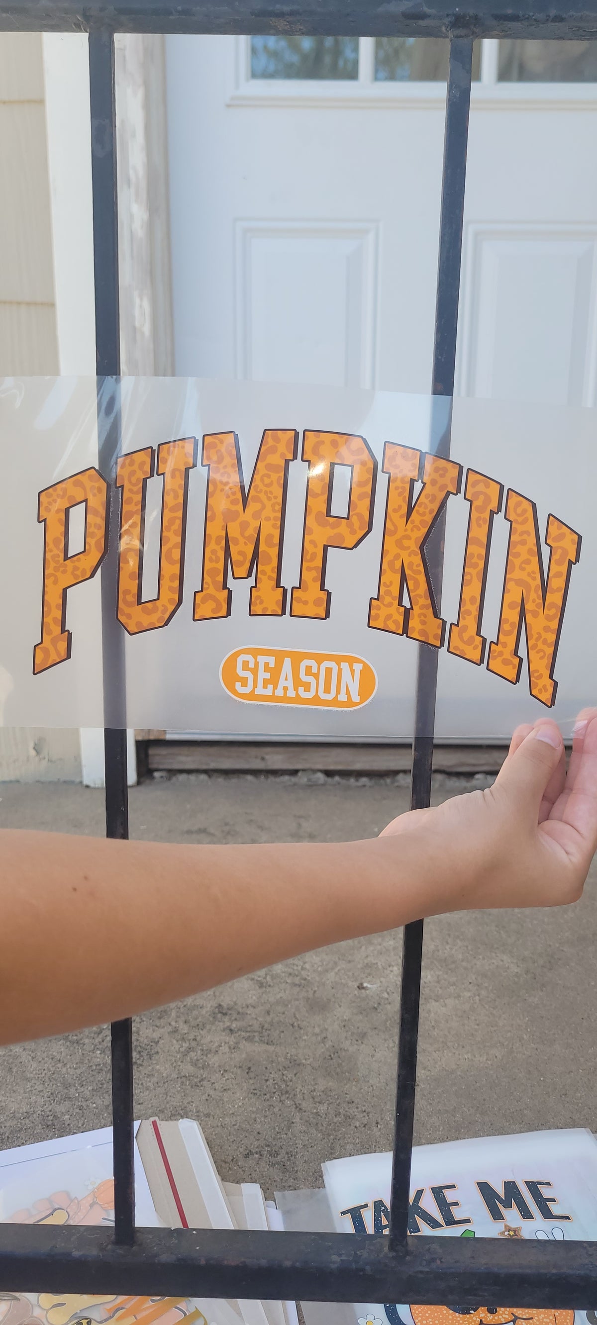 Pumpkin Season