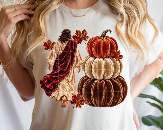 FALL JESUS VELVET